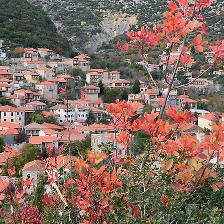 Ξενοδοχείο Miglari 3*