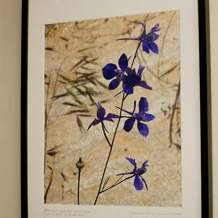 Miglari Στεμνίτσα